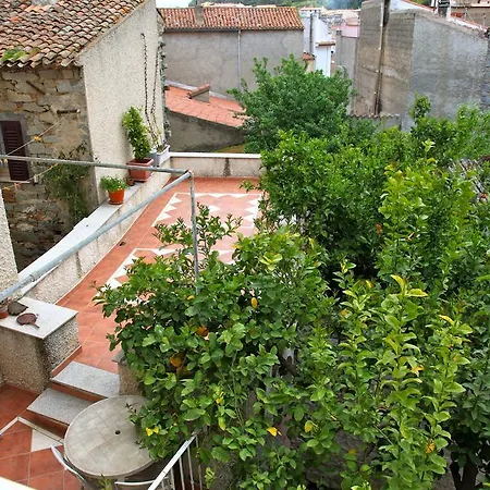 Notte Al Museo Bed and Breakfast