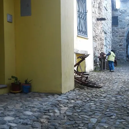 Notte Al Museo Bitti