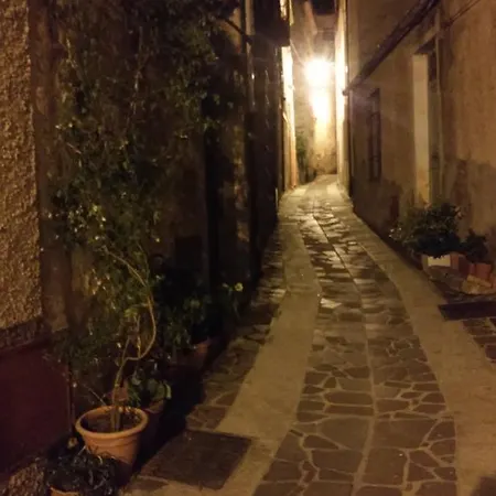 Notte Al Museo Bitti