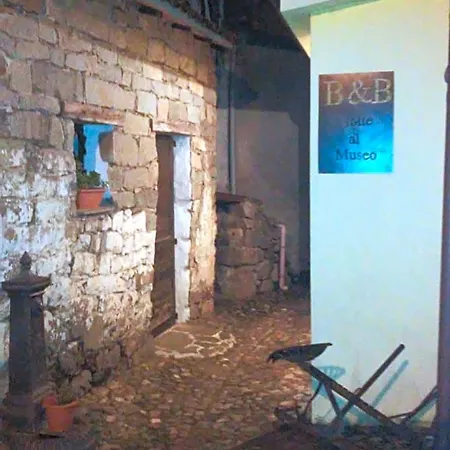 Notte Al Museo Bitti