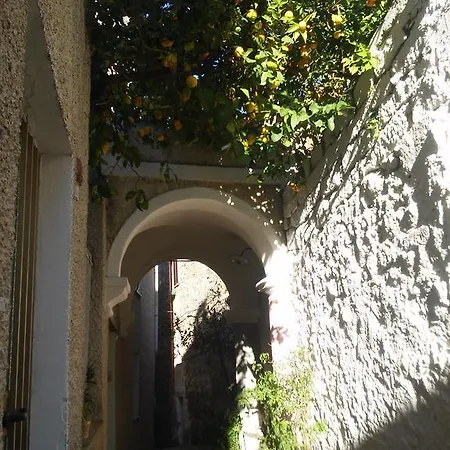 Notte Al Museo Bitti