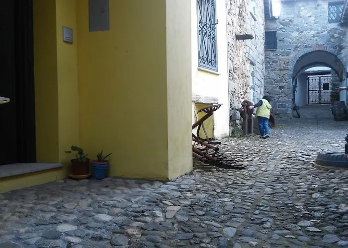 Notte Al Museo Bitti