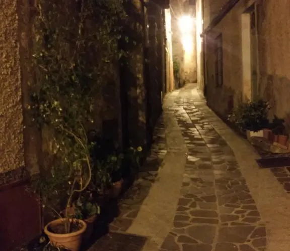 Notte Al Museo Bitti